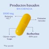 B-FIT B Berberina HCL - Phellodendron amurense Rupr - 120