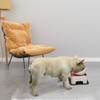 WZ PET Raised Ceramic Dog Feeding Bowl,Adjustable Elevated Dog Bowls