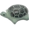Iwachu 30319 Paperweight, Turtle Ao, Body Size (cm): 2.6 x
