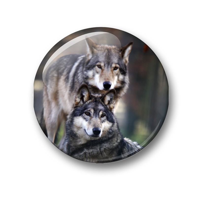 Wolf Wolf Grey Wolf European Wolf Fridge Magnets Set of