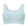 Wacoal CFX351 Kids Juniors STEP3 Girls Wirefree Bra, Stretches Very