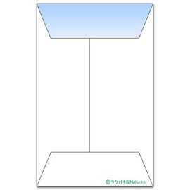 おもしろポチ袋 ｢未来にたくす｣ かわいい祝儀袋 ５枚入り お年玉袋