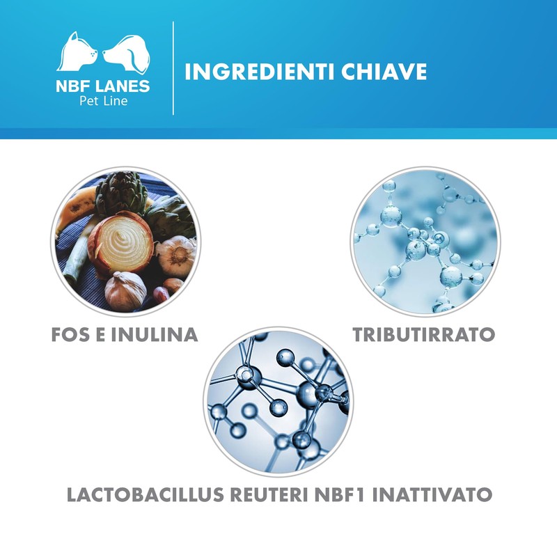 MICROBIOTAL Hund 30 CPR - wirkt gegen die Veränderung der