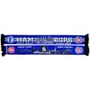 Hamburg fan scarf fan Volkspark silk scarf, blue