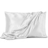 Pure Bedding Satin Pillowcase 2 Pack - King Size (20"x40",