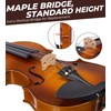 Vangoa Violin 1/4 Size for Kids Beginners Full Set, Spruce