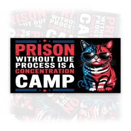 Prison Without Due Process is | Bumper Sticker or Car Magnet | Foxtrot Delta Tango Cat Lady Trending Sticker for Trucks Vans Cars [7.5x3.75]