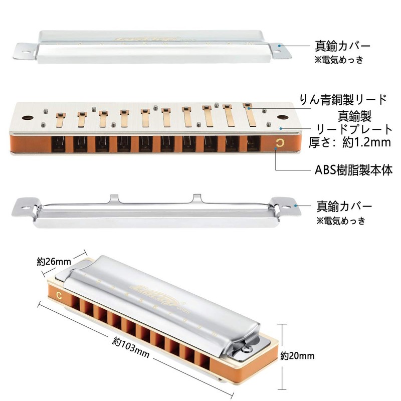 East top Harmonica Blues Harmonica 10 Hole Harmonica C Tone