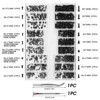 500 Pcs Micro Glasses Screws Repair Kit M1.2/M1.4/M2 with Tweezers,