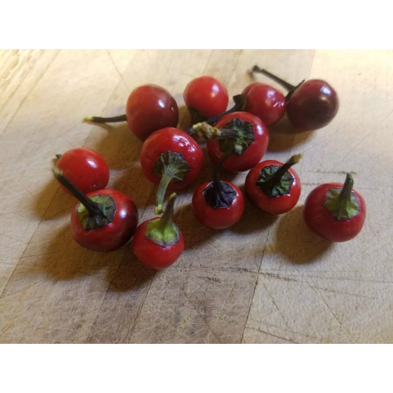 Ornamental - Black Pearl Pepper (30 Seeds) easy to grow