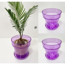 RISEON 3 Pack Clear Acrylic Plastic Orchid Pots with Holes and Saucers,Thick Acrylic Planter Pot, Orchid Dendrobium Oncidium Cattleya Repotting Pot Indoor Outdoor (Violet)