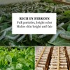 100 Pieces Silkworm Cocoons, Natural Silk Cocoons, Peeling Silkworm Balls