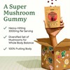 Plant People WonderDay Mushroom Gummies - Lion’s Mane, Cordyceps, Chaga