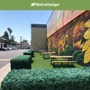 NatraHedge Artificial Boxwood Roll Panels UV Protected for Outdoor Use