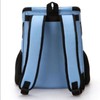 Pet Breathable Backpack Shockproof Foldable Cat Travel Carrier with Carry