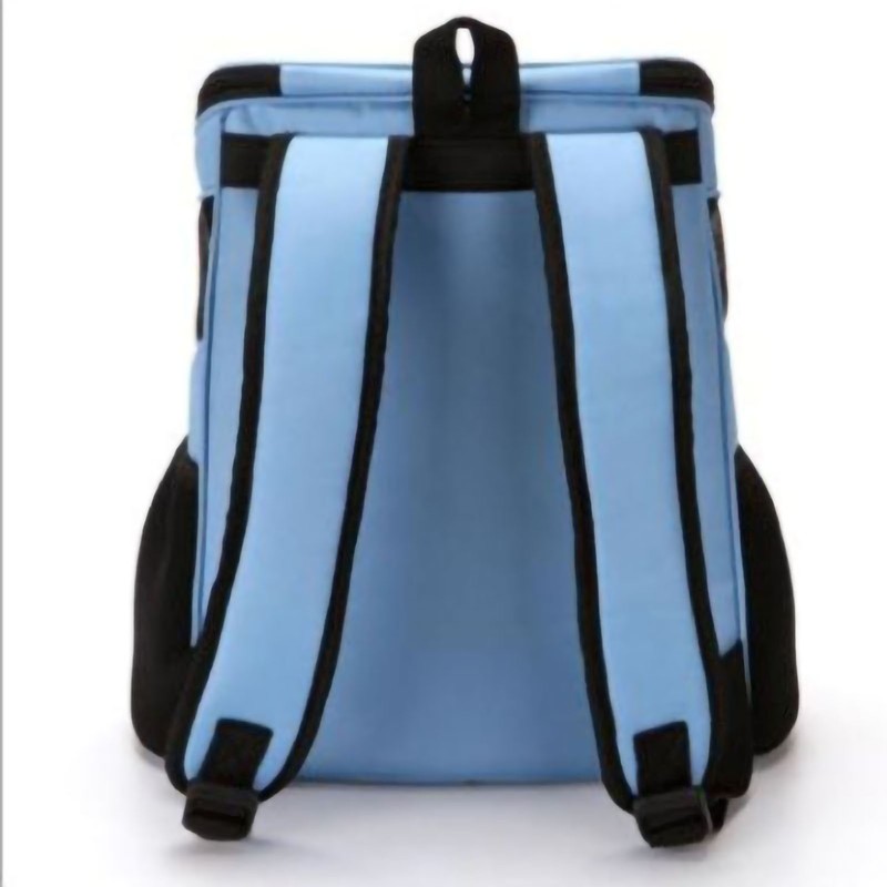 Pet Breathable Backpack Shockproof Foldable Cat Travel Carrier with Carry