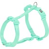 Premium Harness, XXS-XS: 20-32 cm/10 mm, Mint