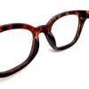 WELLINGTON SUNGLASS FOR JAPANESE Tortoise Shell x CLEAR