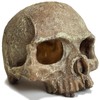 Aquarium Decoration for Fish Tank Skull Head Skeleton Aquarium Ornament