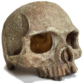 Aquarium Decoration for Fish Tank Skull Head Skeleton Aquarium Ornament Decorative Cave Landscape Aquarium Decor Reptile House Cave Fish Tank Decoration - Small