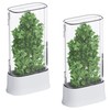 vacane Herb Keeper for Refrigerator, Fresh Herb Saver Herb Storage