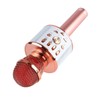 Kids Singing Microphone Portable Handheld Wireless Bluetooth Condenser Mic Speaker