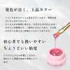 CLARA GEL CLARA GEL Nail Nail Color Gel Glitter Holo