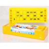 DiPrint 200 large printed Bingo cards for seniors system 15