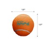 Outward Hound Squeaker Ballz – Squeaky Tiny Tennis Balls for