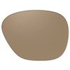 Reptile Suncloud Hook Polarized Sunglass Replacement Lenses in Amber Brown