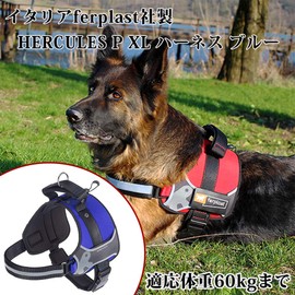 Ferplast Hercules Extra Large Dog Harness, Padded, Durable, Scratch-Resistant, Visible in the Dark with Handle