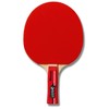 Best Sport Speed Table Tennis Bat - Multi-Colour