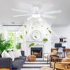 Mpayel Ceiling Fans with Lights- 52" Low Profile Indoor Ceiling