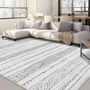 Area Rug Living Room Rugs: 6x9 Large Soft Machine Washable