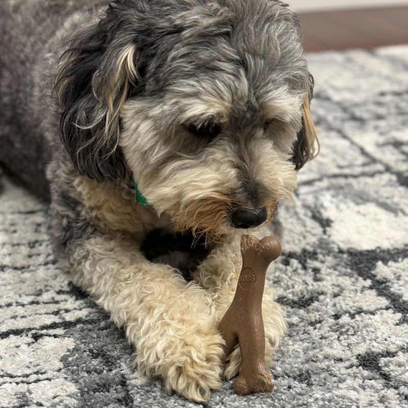 SPOT Bam-Bones Wishbone - Made with Strong Bamboo Fiber, Durable