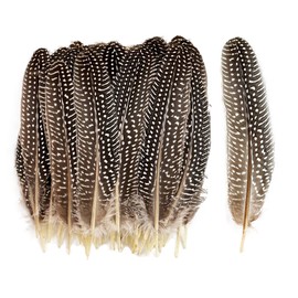 HAPPY FEATHER 6-9 inch Natural Guinea Wing Plumage Feather for DIY Craft, Jewelry and Clothing Decoration Pack of 20-Natural