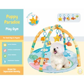 Cutie Patootie Playhouse Puppy Play Gym - Dog & Cat Activity Mat with Squeaky Toys - Interactive Sensory Mat for Pets (Suitable for Dogs & Cats Up to 25 lbs)