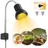25W Heat Lamp with Holder UVA UVB Basking Lamp with