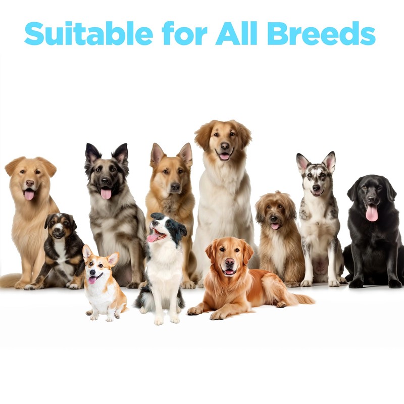 Gothrapy Allergy Relief Chews for Dogs – US Formulated, Vet-Approved