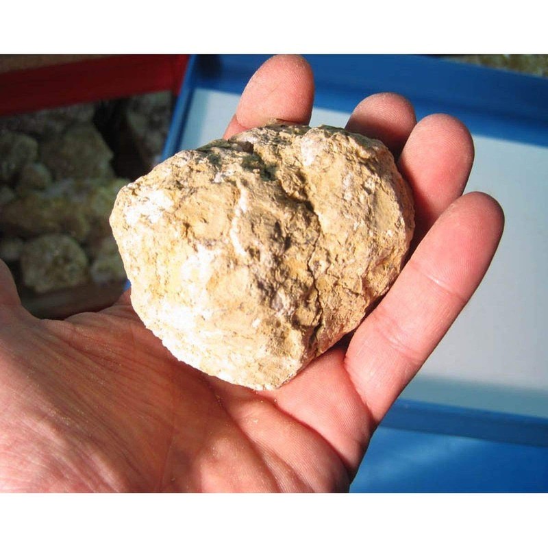 Small Open Quartz Geode