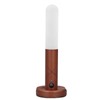 Smart Body Sensor Night Lights USB Rechargeable LED Cabinet Wardrobe