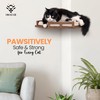 INICIO Cat Wall Shelves - Modern and Durable 3 Step