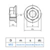 ALEOED 4 Pieces M12 x 1.25mm Pitch Serrated Flange Nut