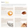ETERNAL NUTRITION Neuro Sleep: Magnesio Bisglicinato y Teanina (200 Caps)