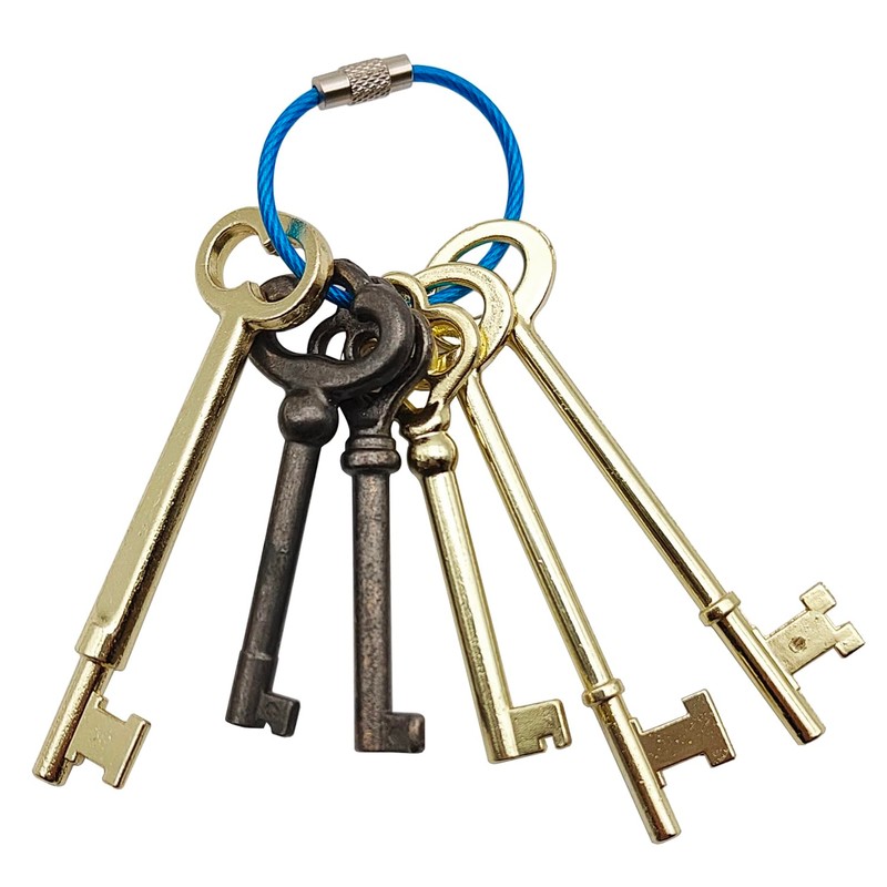 Skeleton Key Set, 6 Pcs Universal Hollow Barrel Skeleton Keys