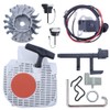 Mtanlo Flywheel Ignition Coil Recoil Starter Kit For Stihl Ms250