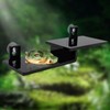 Frogs Basking Platform with Suction Cup, Black Acrylic Material Double