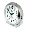 Radio-Controlled Alarm Clock, Dial, Lighting, Alarm Clock, Time, Rising Alarm