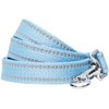 Blueberry Pet Essentials Pastel Color Reflective Matching Dog Collar and
