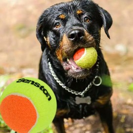 Senston 3 pack Tennis Ball for Training Tournament and Entertainment